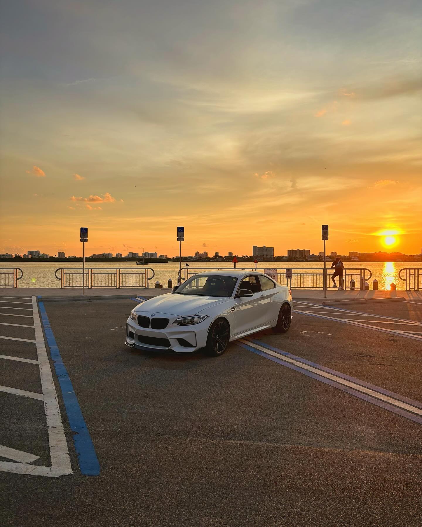 Description of image 1